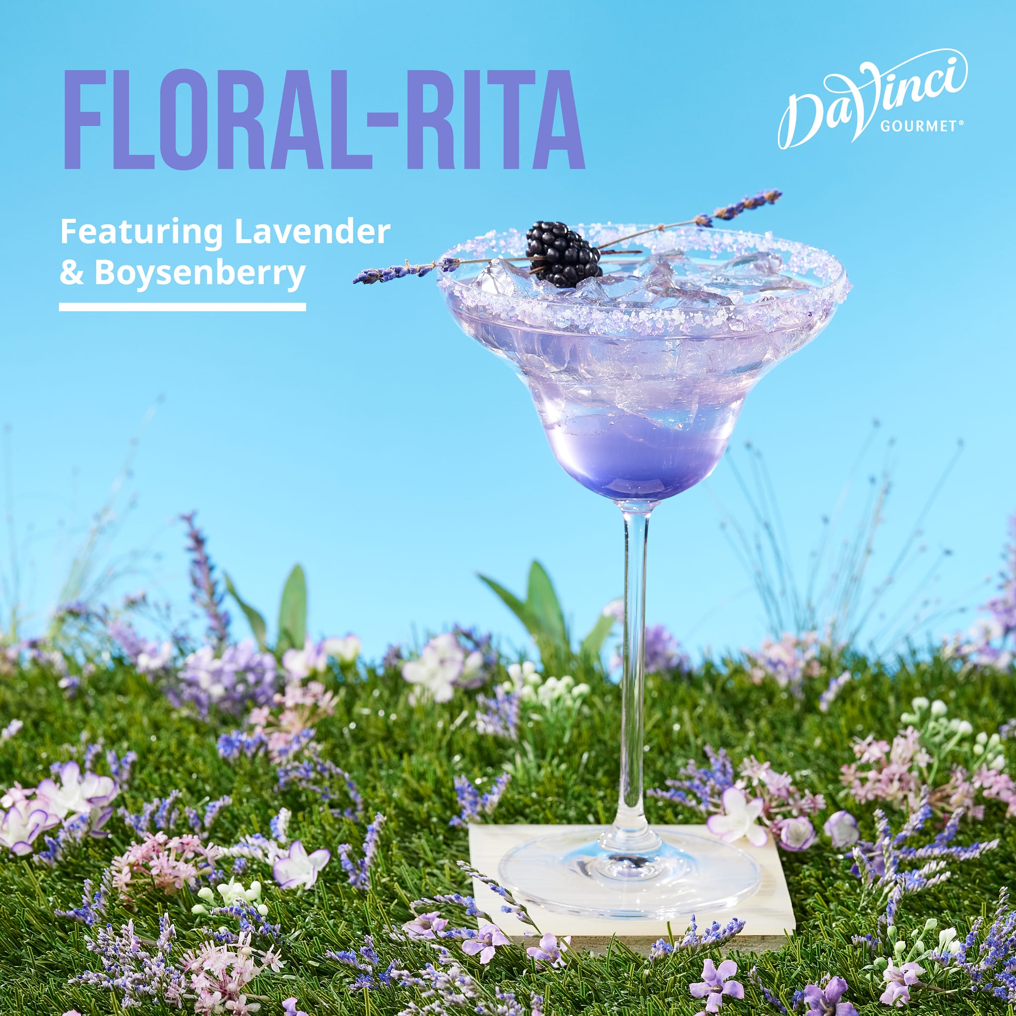 syrup16g DVD5枚セット +α syrup16g DVD5枚セット +α